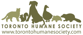 ths_logo_tan3