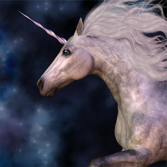 How to Spot a Unicorn Marketing Candidate