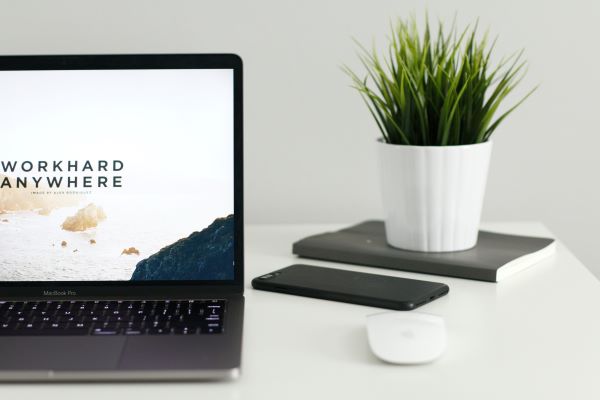 Can a WFH Policy Predict Company Success?