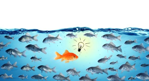From Application to Offer: How Candidates Can Stand Out at Every Stage