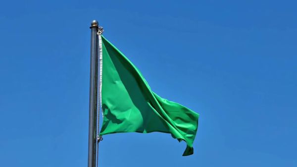 10 Green Flags That You’re Joining a Great Company